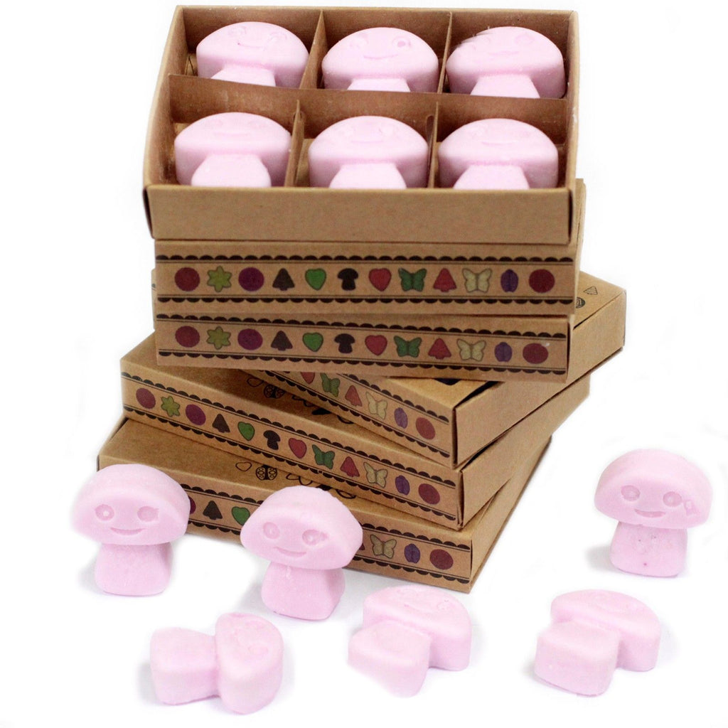 Box of 6 Ylang Ylang Wax Melts for Home Fragrance Experience
