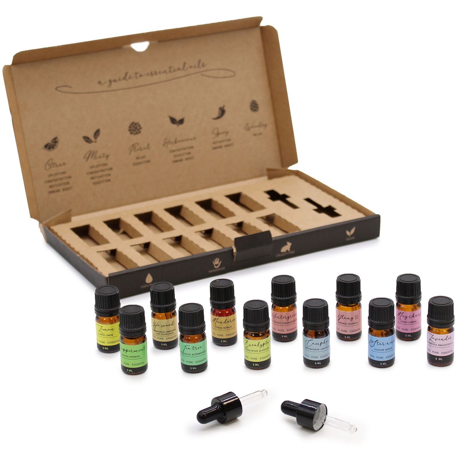 Aromatherapy Essential Oil Starter Pack with 12 Pure Oils Set