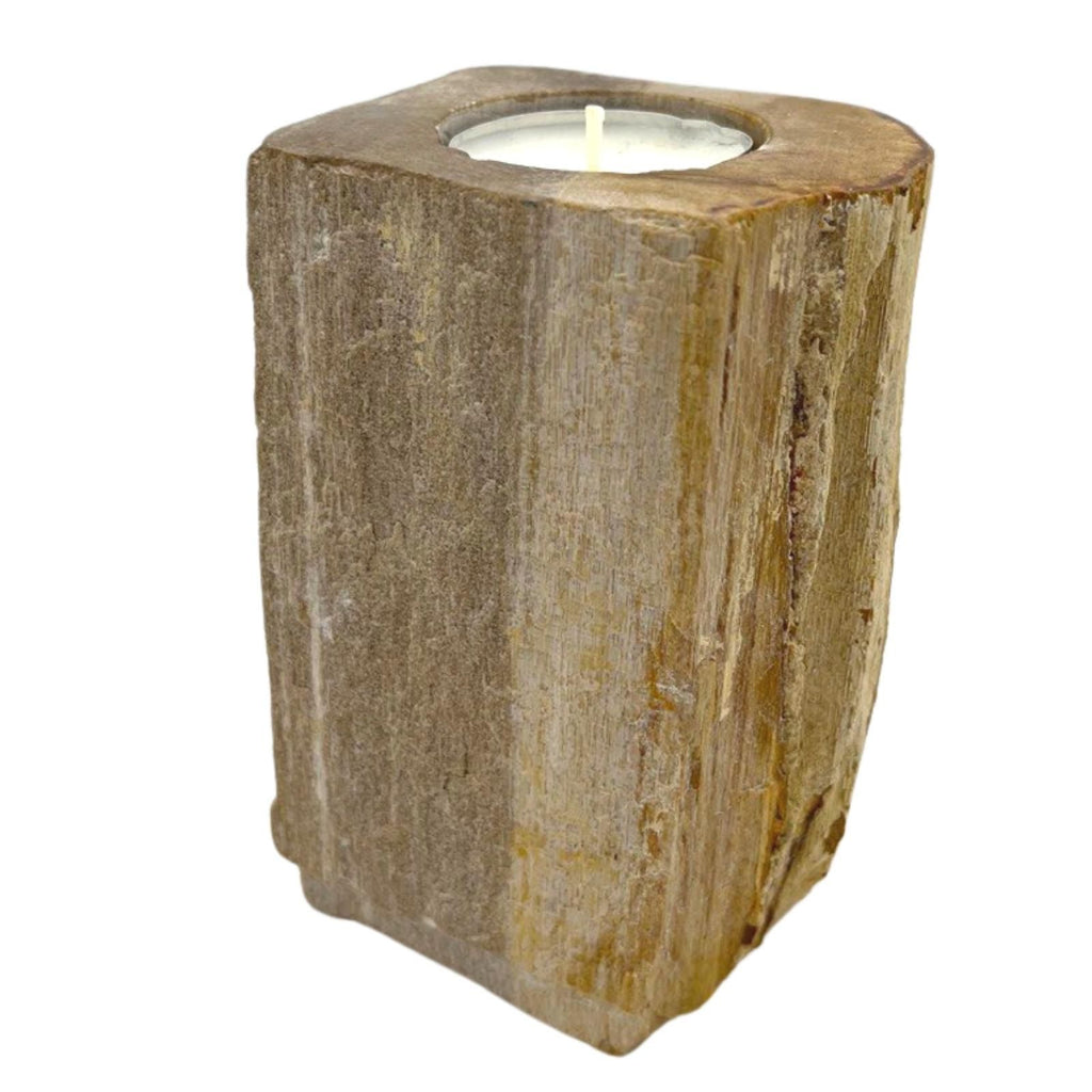 Petrified Wood Candle Holder Single Tall for Unique Home Decor