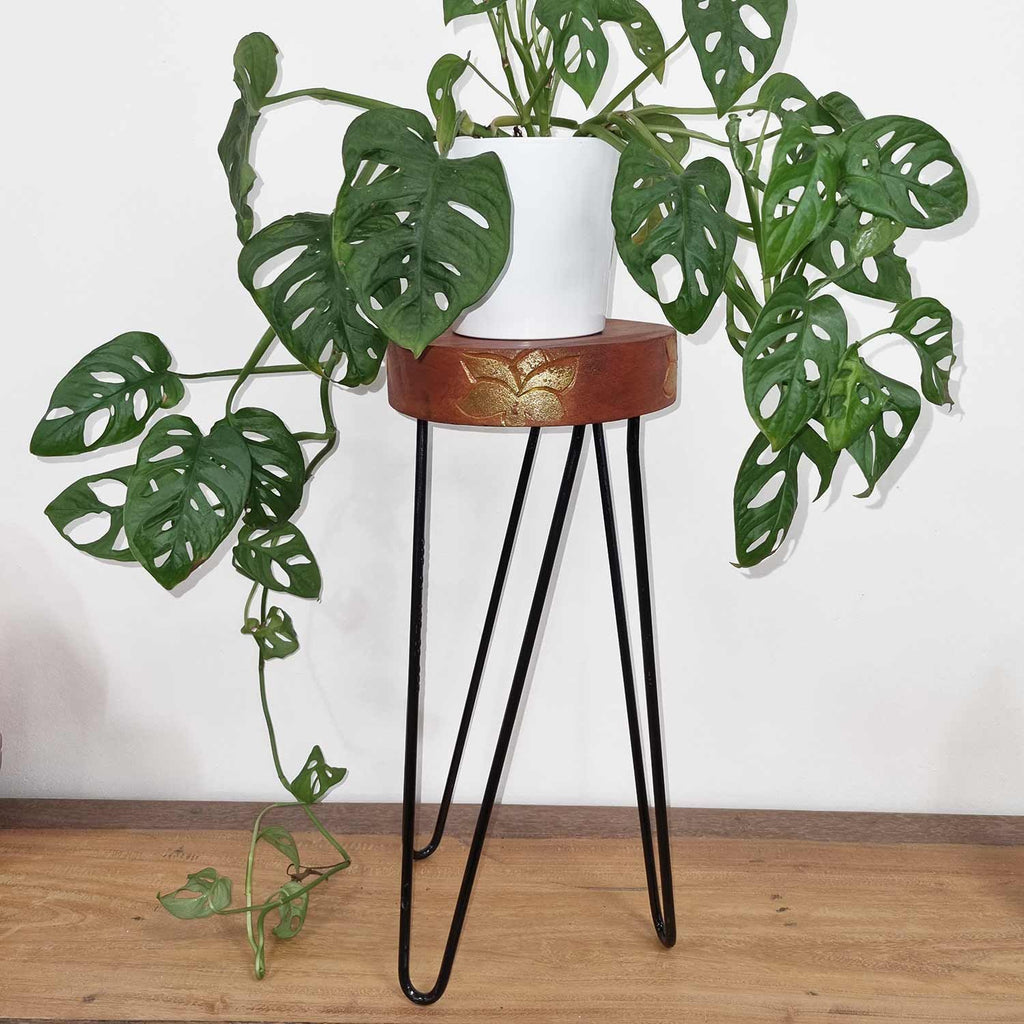 Albasia Wood Plant Stand in Whitewash for Stylish Home Displays