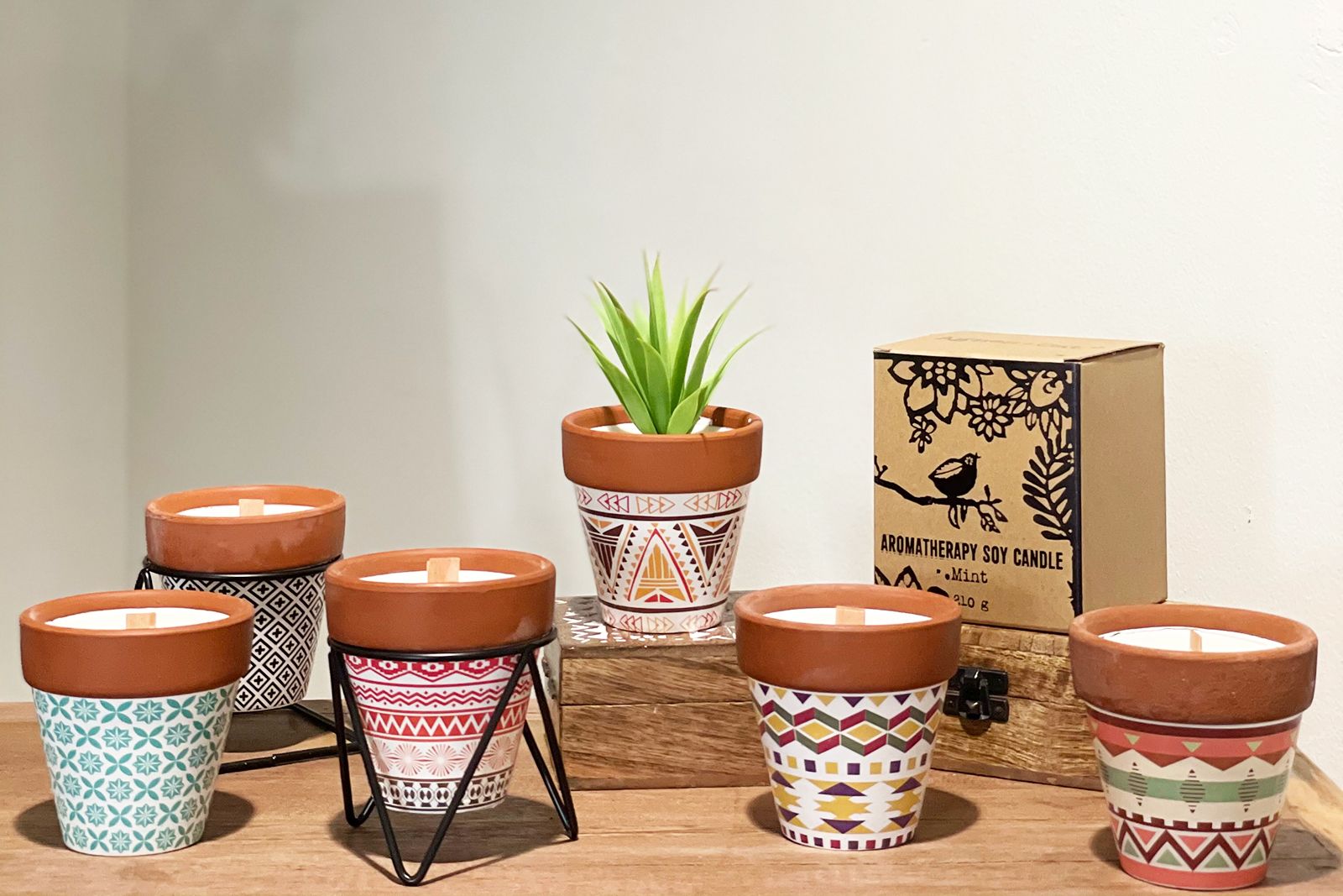 Agnes + Cat Herb Garden Candles Rosemary for Fresh Home Fragrance