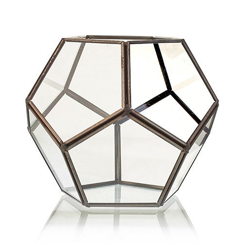 Large Octagon Glass Terrarium for Succulents and Air Plants