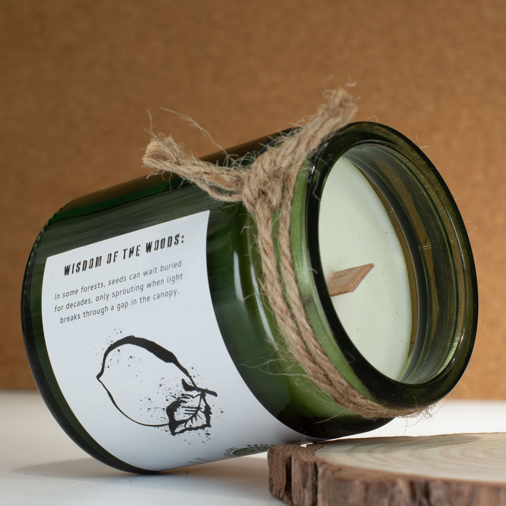 Greenman Woodwick Soy Candle Cedar Citrus in Elegant Glass Jar