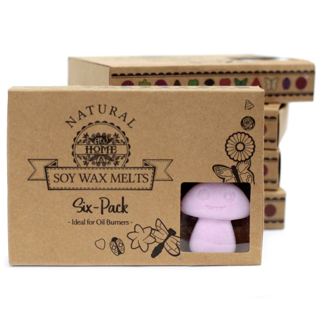 Box of 6 Ylang Ylang Wax Melts for Home Fragrance Experience