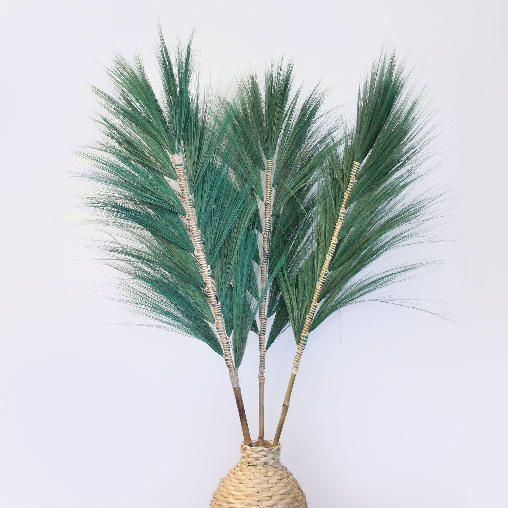 Rayung Grass Green 1.6m for Vibrant Home Decor Enhancement
