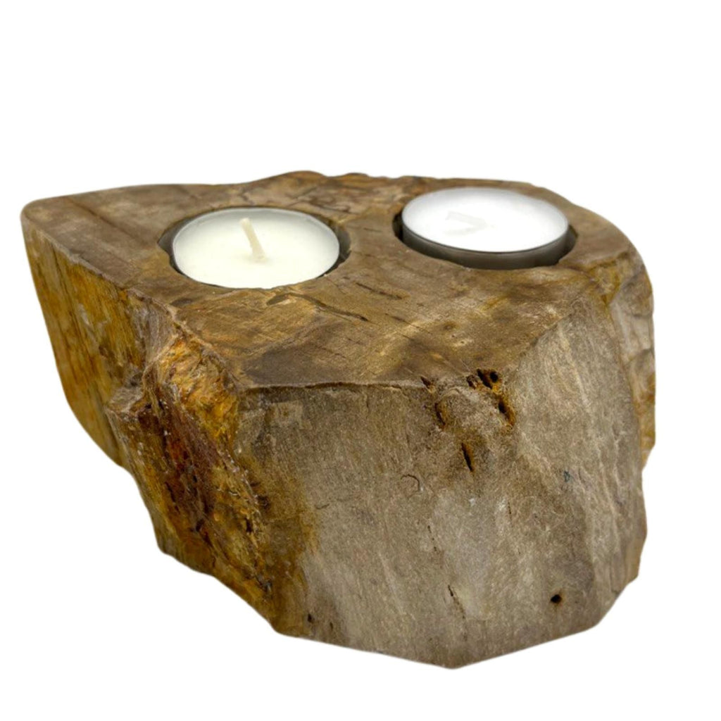 Petrified Wood Double Candle Holder for Stylish Home Decor
