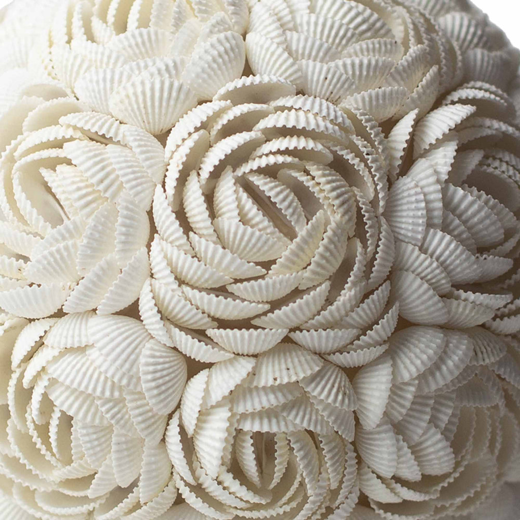 Boho Sea Shell Lamp Rose Oval 15cm Ideal for Coastal Home Decor