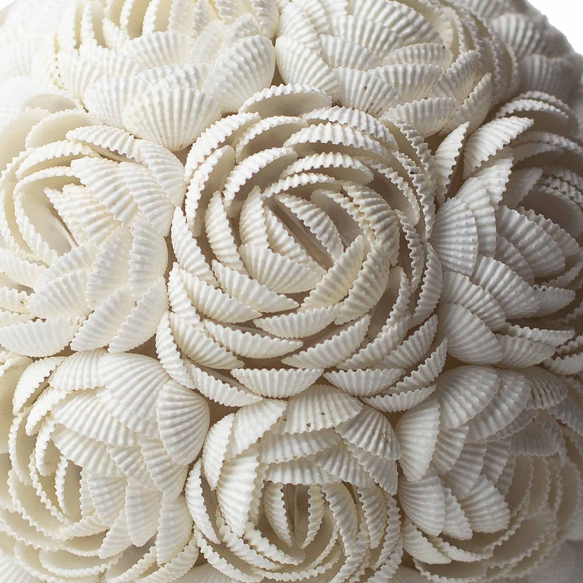 Boho Sea Shell Lamp Rose Globe 15cm Unique Decorative Light Piece
