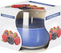Scented Glass Jar Candle Forest Fruits for Home Fragrance