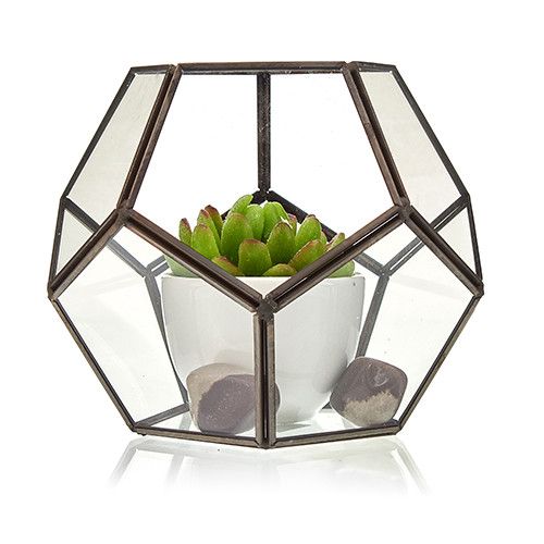Large Octagon Glass Terrarium for Succulents and Air Plants