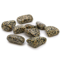 XLarge Tumble Stones - Dalmation Stone
