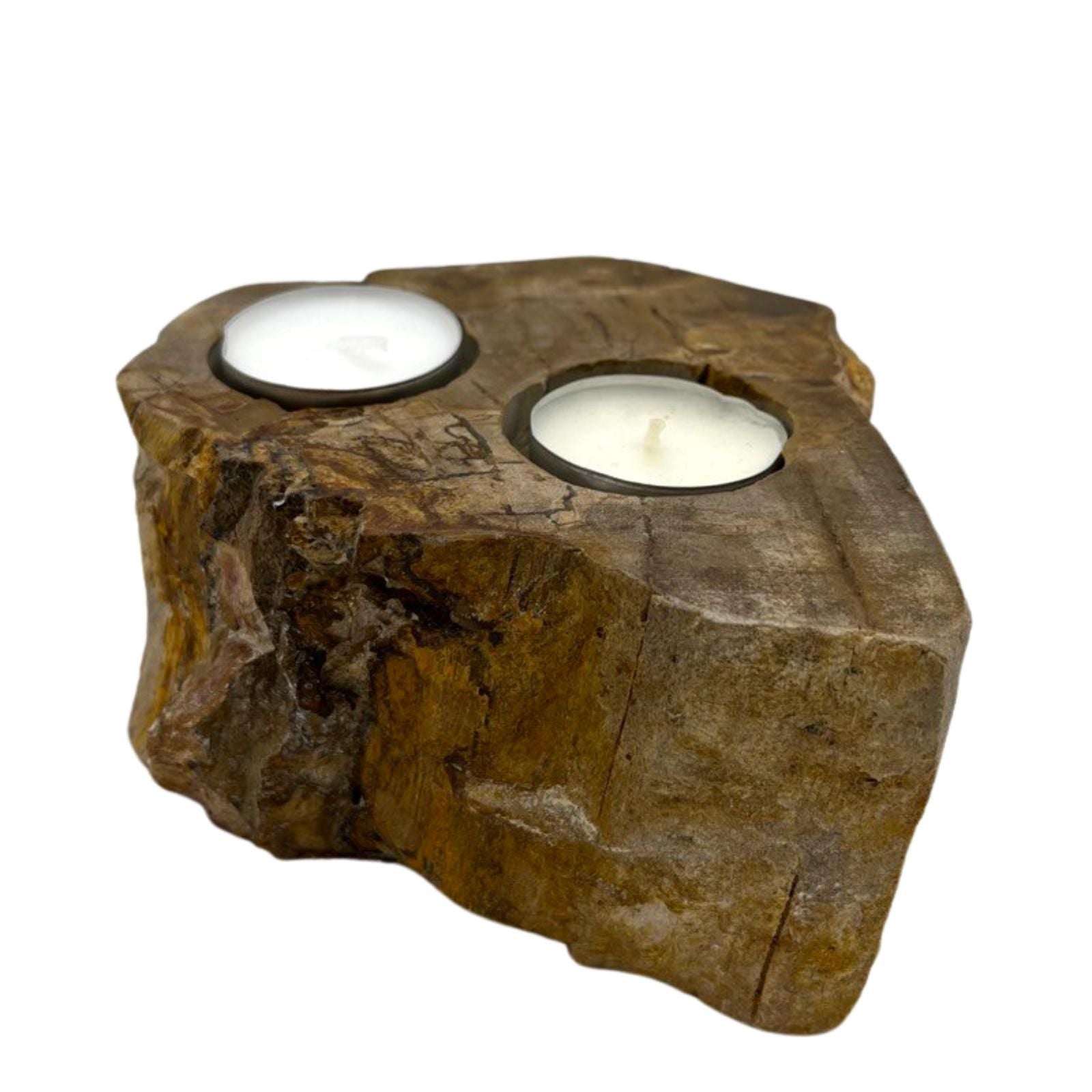 Petrified Wood Double Candle Holder for Stylish Home Decor