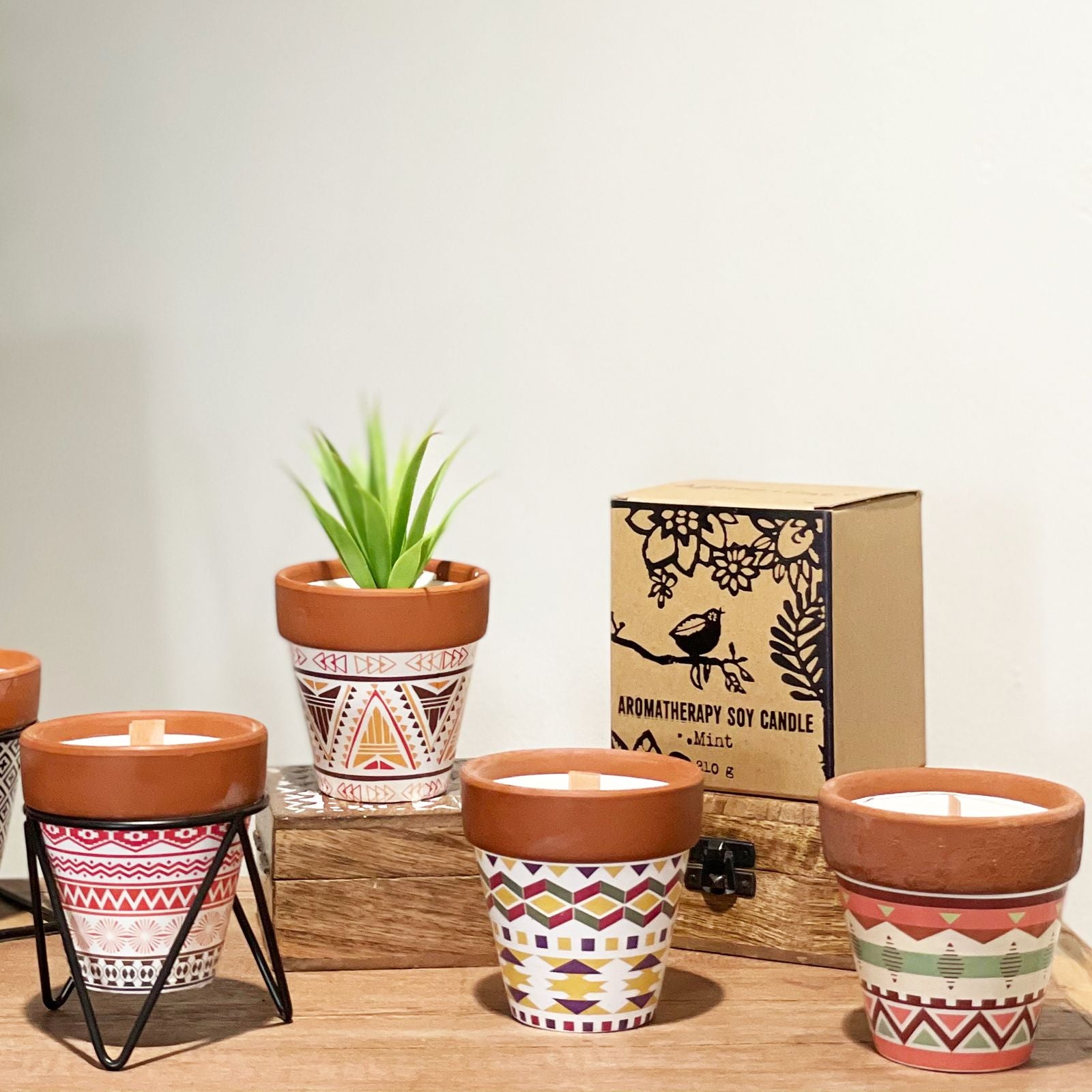 Agnes + Cat Clove Herb Garden Candles for a Warm Cozy Atmosphere