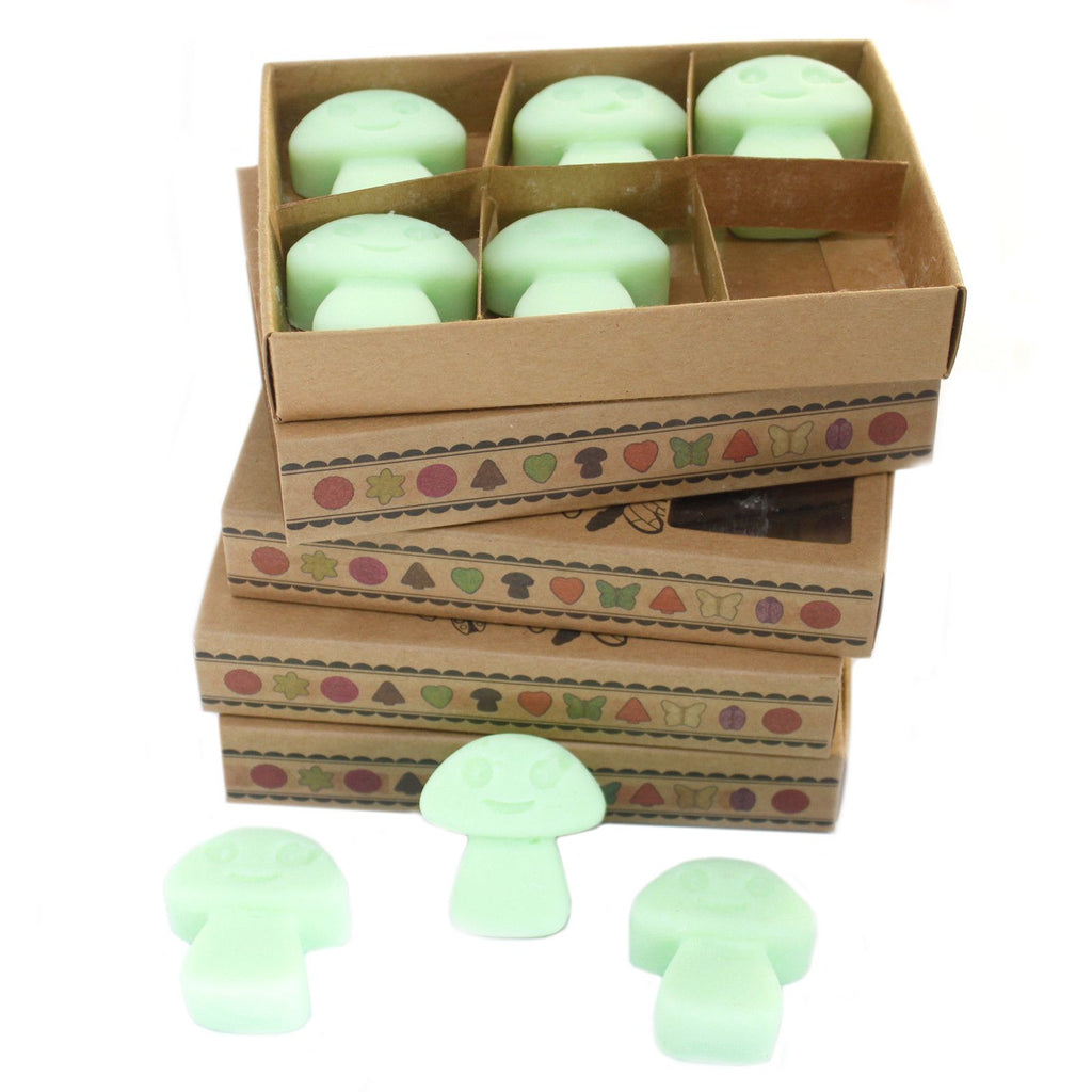 Box of 6 Liquorice Wax Melts for Inviting Home Fragrance