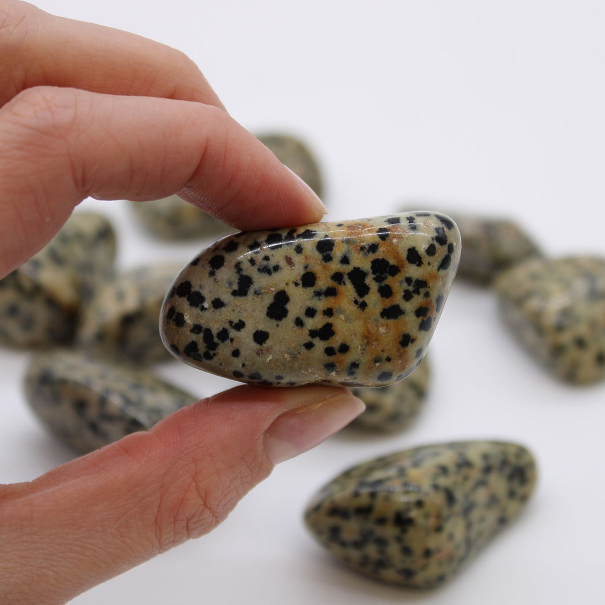 XLarge Tumble Stones - Dalmation Stone