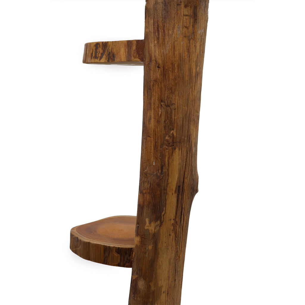Natural Teak Log Shelve Display Unit with 3 Rustic Shelves
