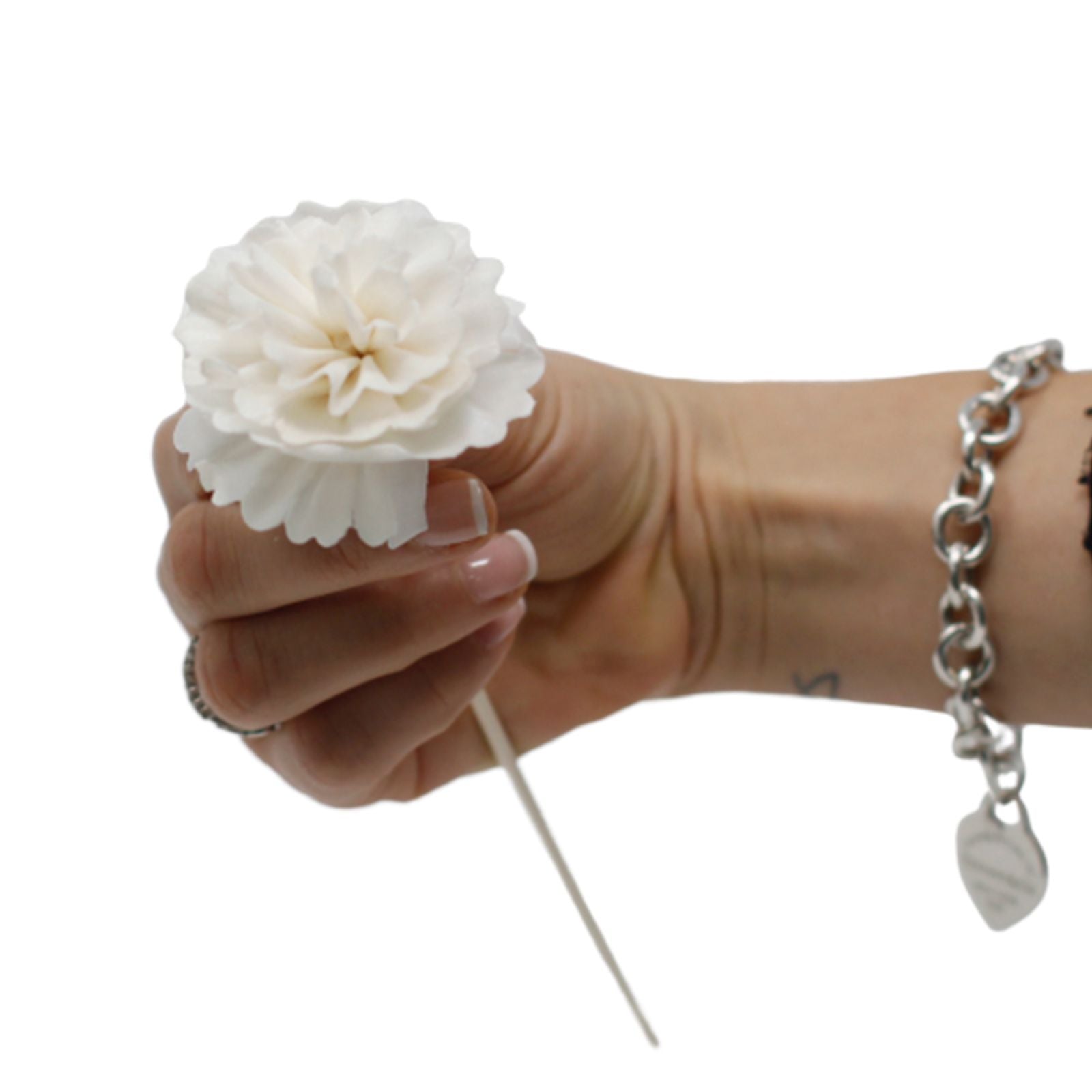 Natural Diffuser Flowers Carnation on Reed for Home Fragrance