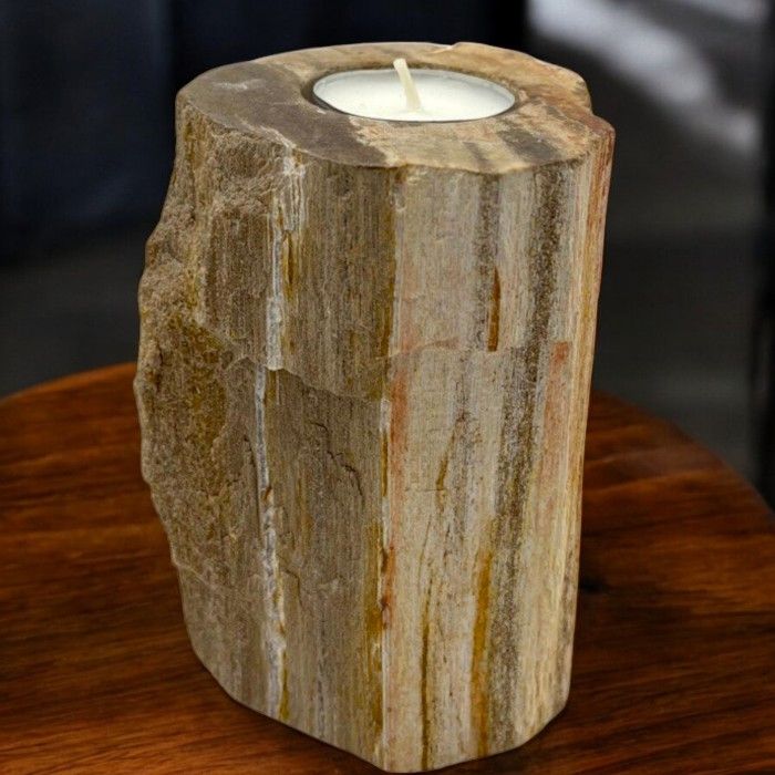 Petrified Wood Candle Holder Single Tall for Unique Home Decor