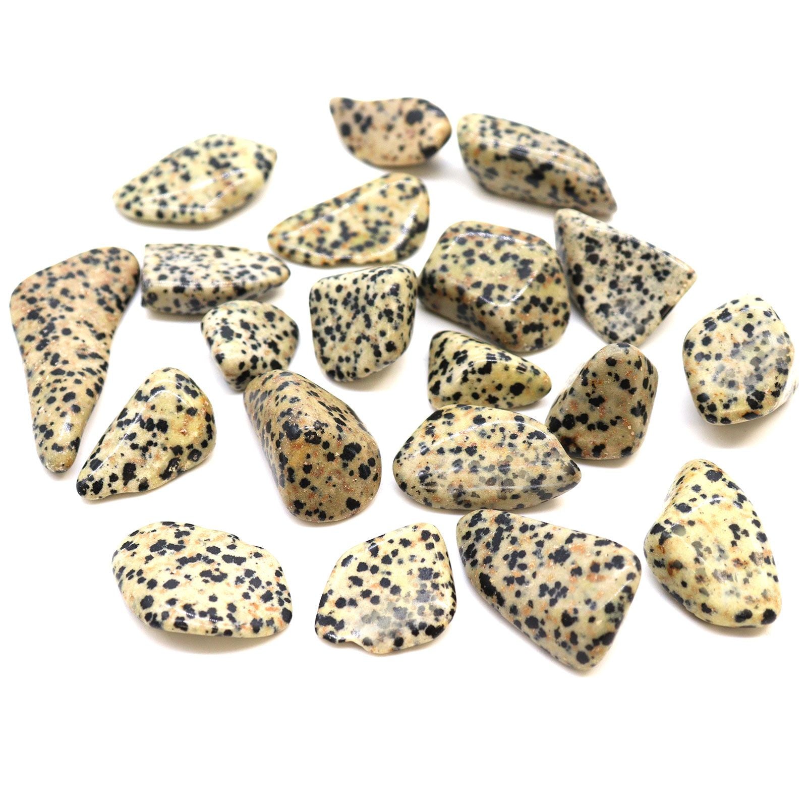 Large Tumble Stones Dalmation Stone for Collecting and Crafting Fun
