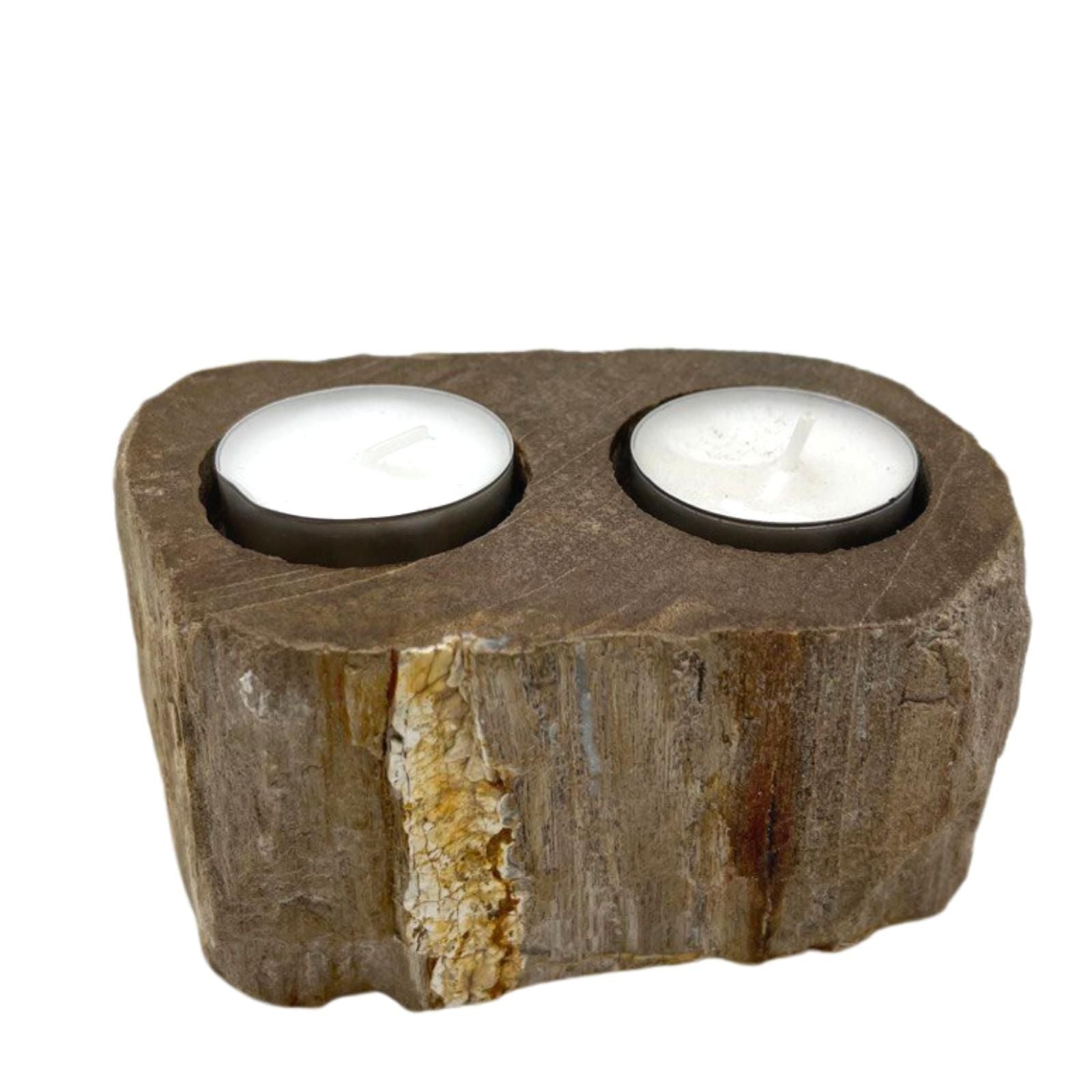 Petrified Wood Double Candle Holder for Stylish Home Decor