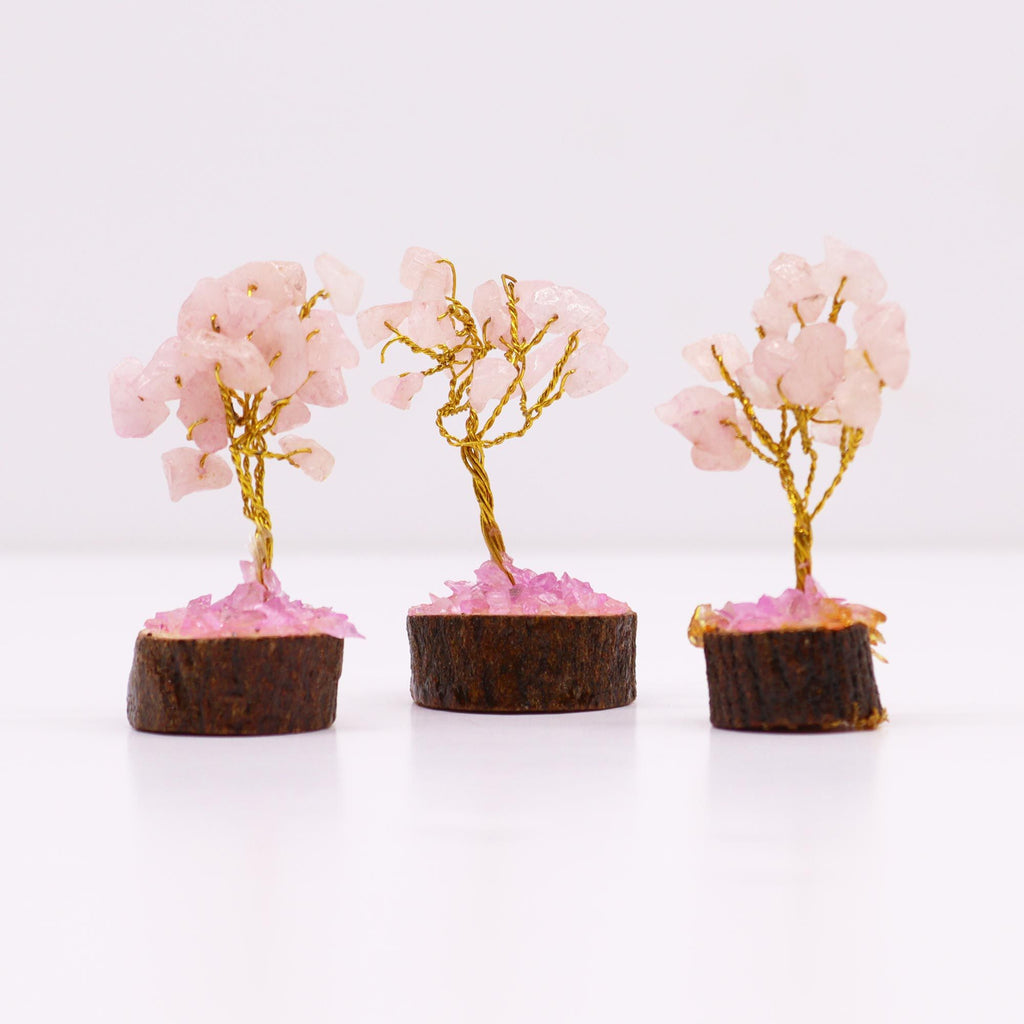 Mini Rose Quartz Gemstone Tree on Wooden Base with 15 Stones