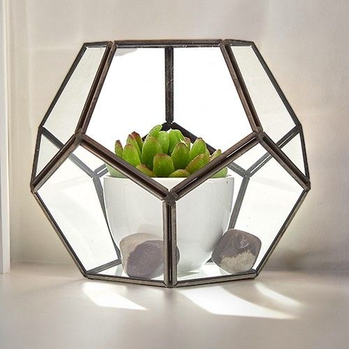 Large Octagon Glass Terrarium for Succulents and Air Plants
