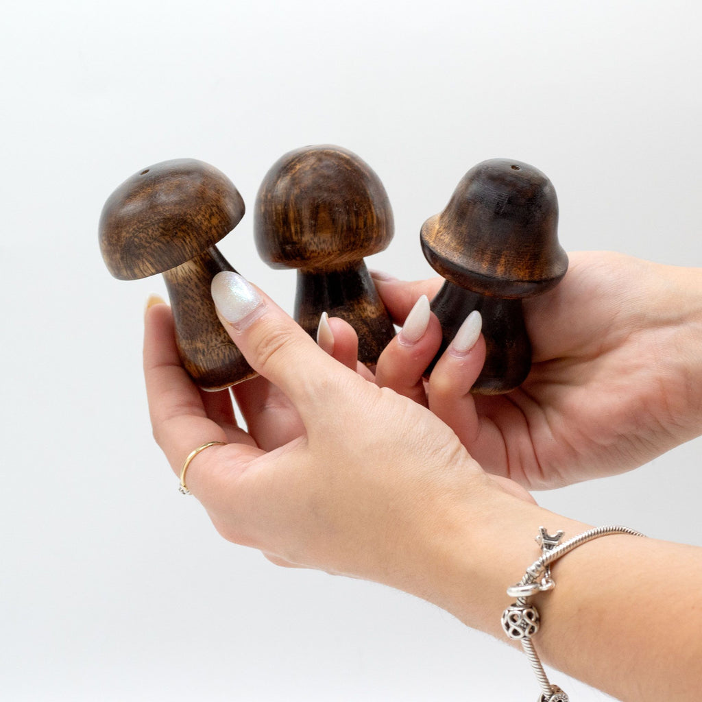 Set of 3 Mini Incense Mushrooms Unique Holders for Sticks