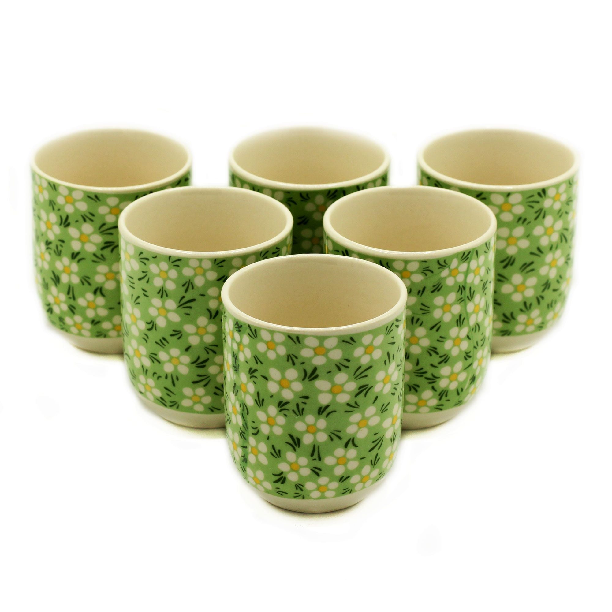 Herbal Tea Cups Set with Charming Green Daisey Design for Tea Lovers