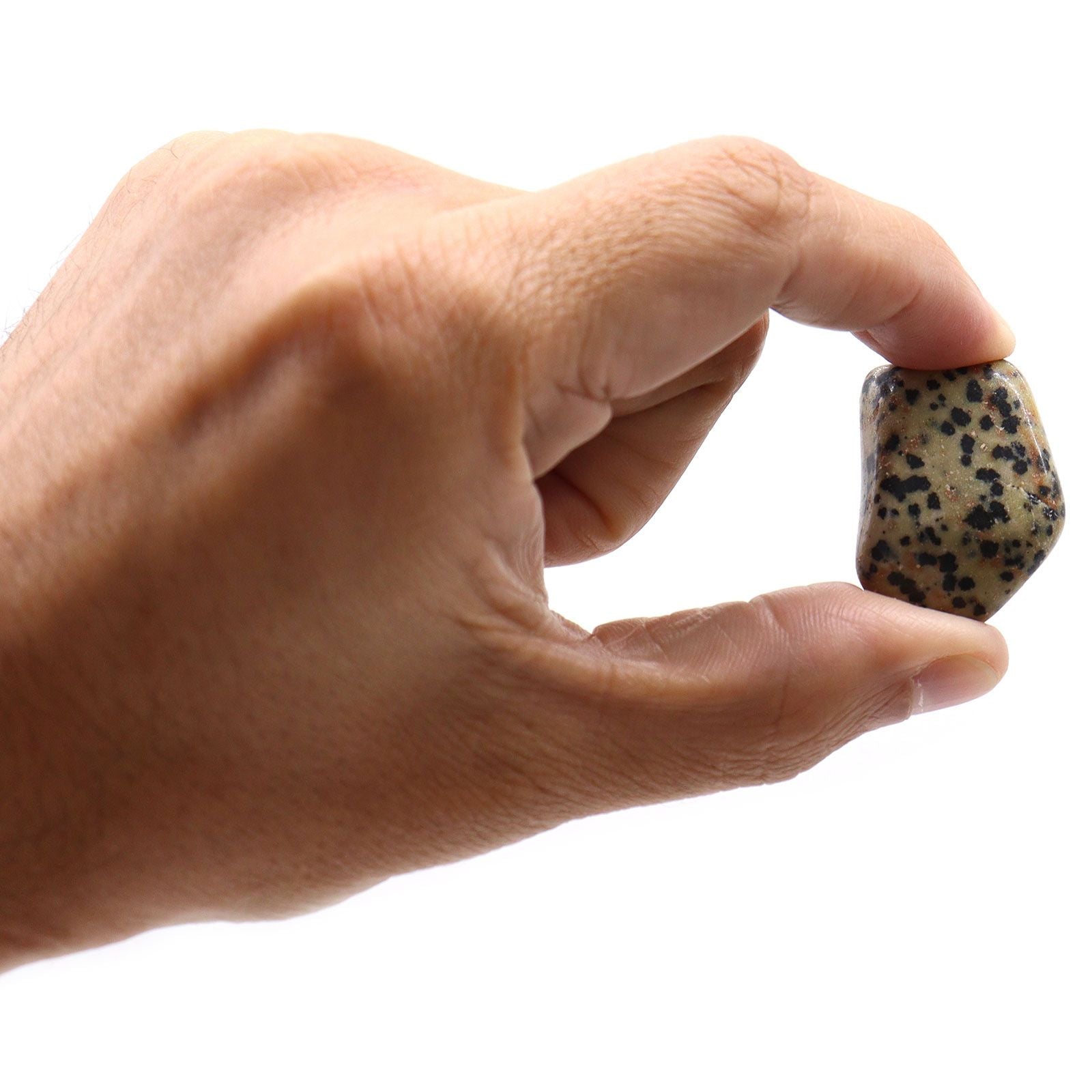 Large Tumble Stones Dalmation Stone for Collecting and Crafting Fun