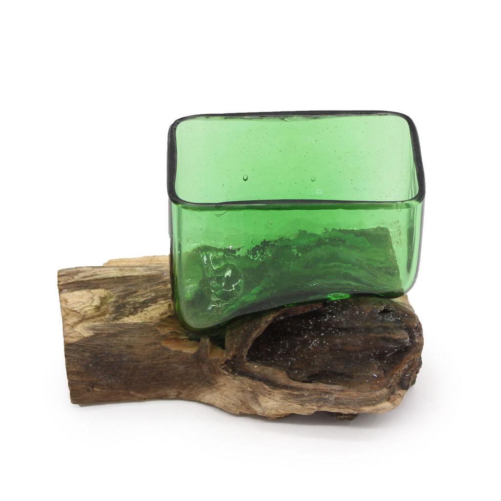 Recycled Beer Bottles Square Bowl on Wood for Unique Decor
