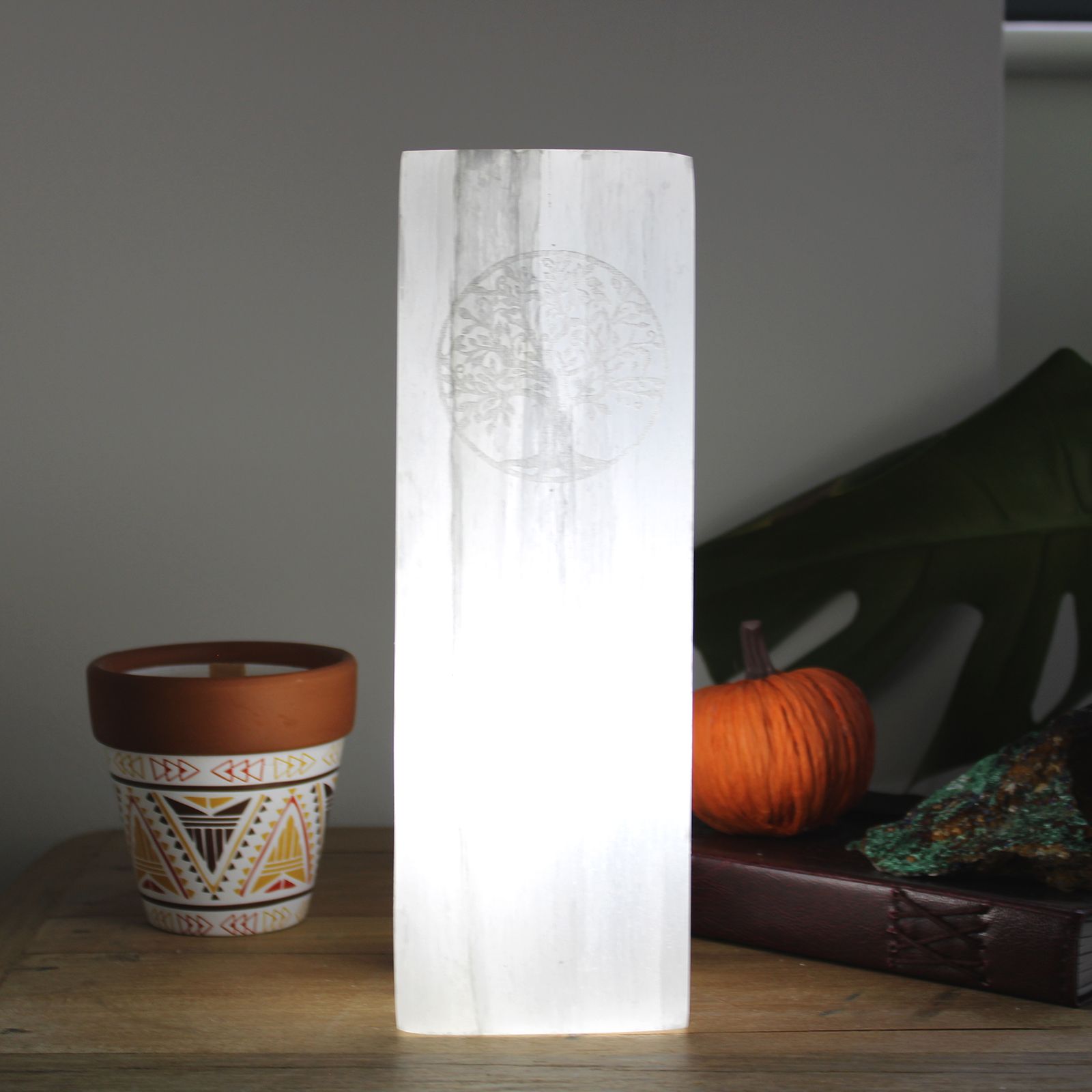 Selenite Block Lamp 25cm with Tree of Life Design for Home Decor