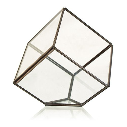 Glass Terrarium Cube on Corner for Stylish Home Decor