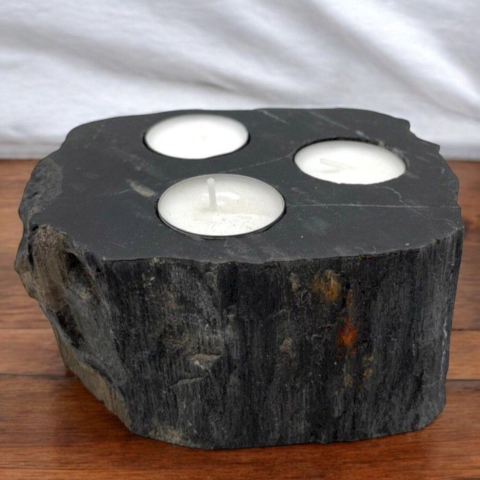 Petrified Wood Candle Holder Triple for Unique Rustic Decor