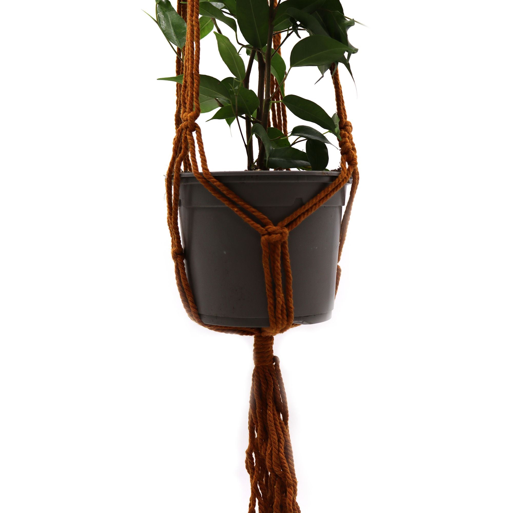 Macrame Pot Holder Classic in Chocolate for Medium Pots
