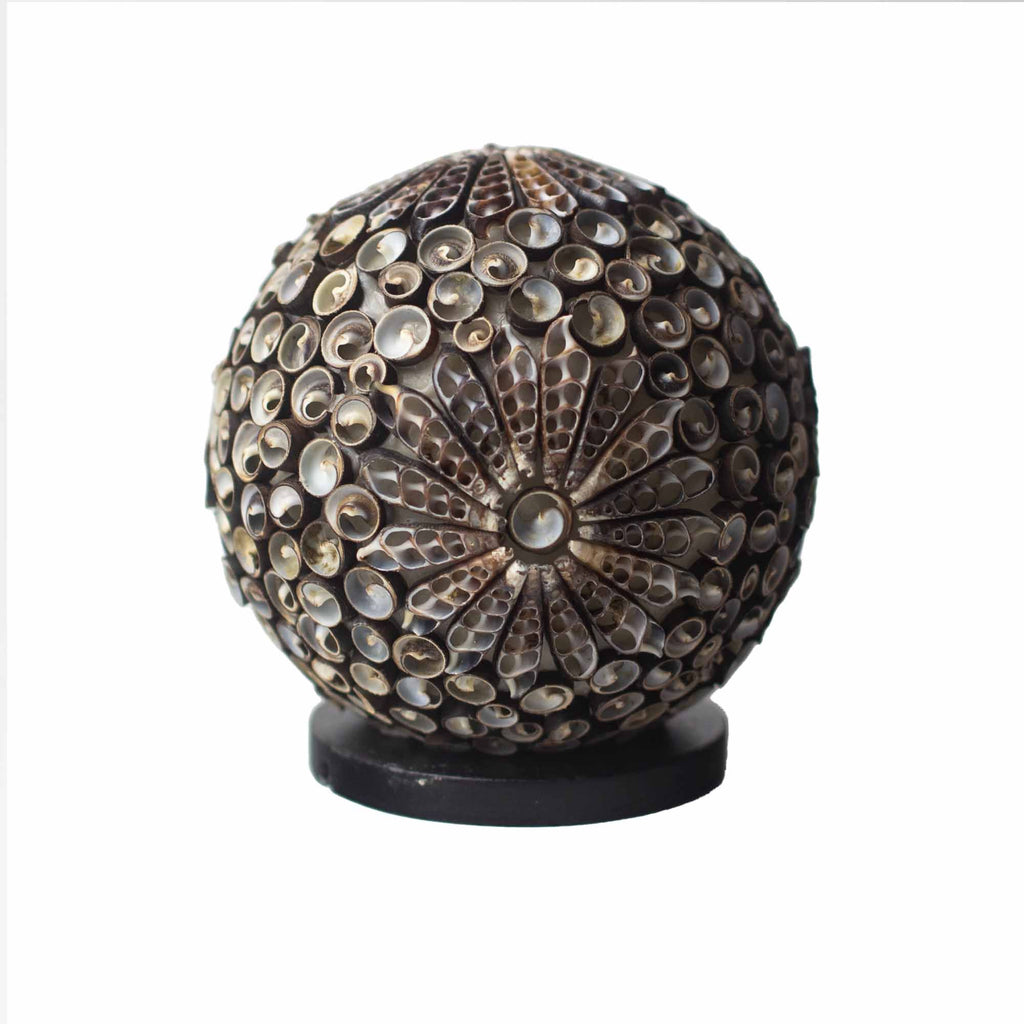 Boho Sea Shell Lamp Chocolate Twist Globe 15cm for Home Decor
