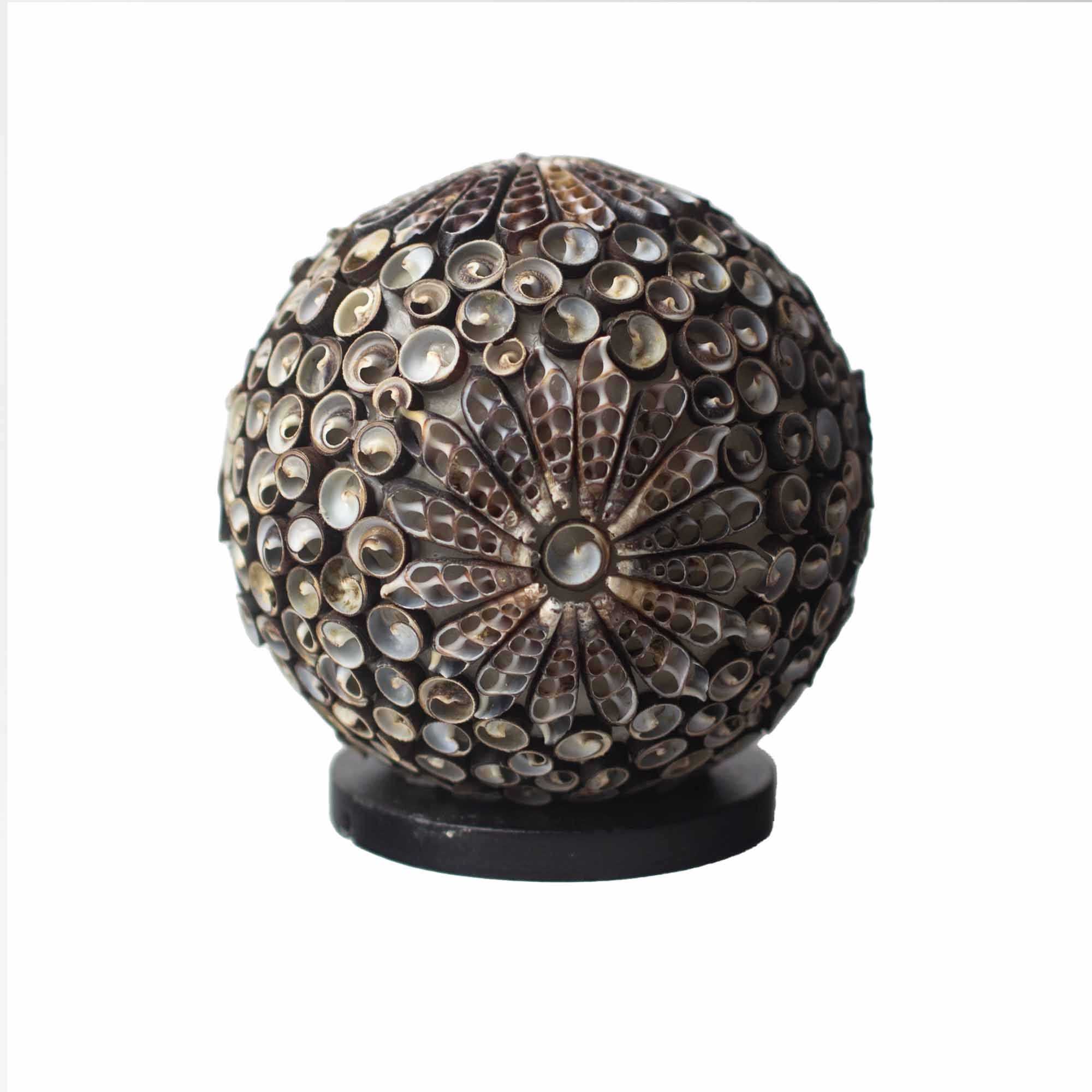 Boho Sea Shell Lamp Chocolate Twist Globe 15cm for Home Decor