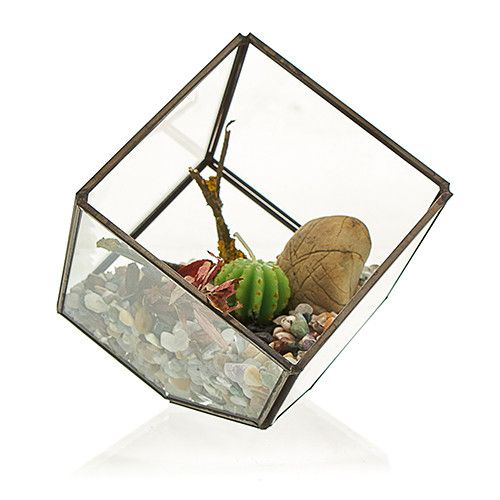 Glass Terrarium Cube on Corner for Stylish Home Decor