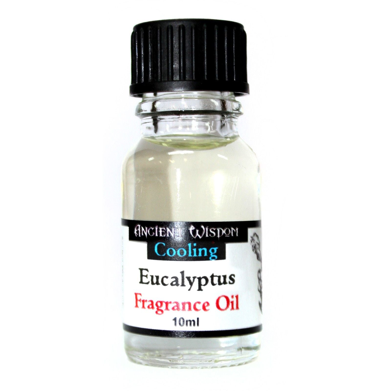 10ml Eucalyptus Fragrance Oil for a Long Lasting Invigorating Aroma