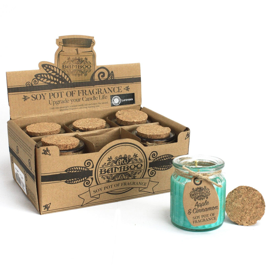 Apple & Cinnamon Soy Pot of Fragrance Candles for Home Decor