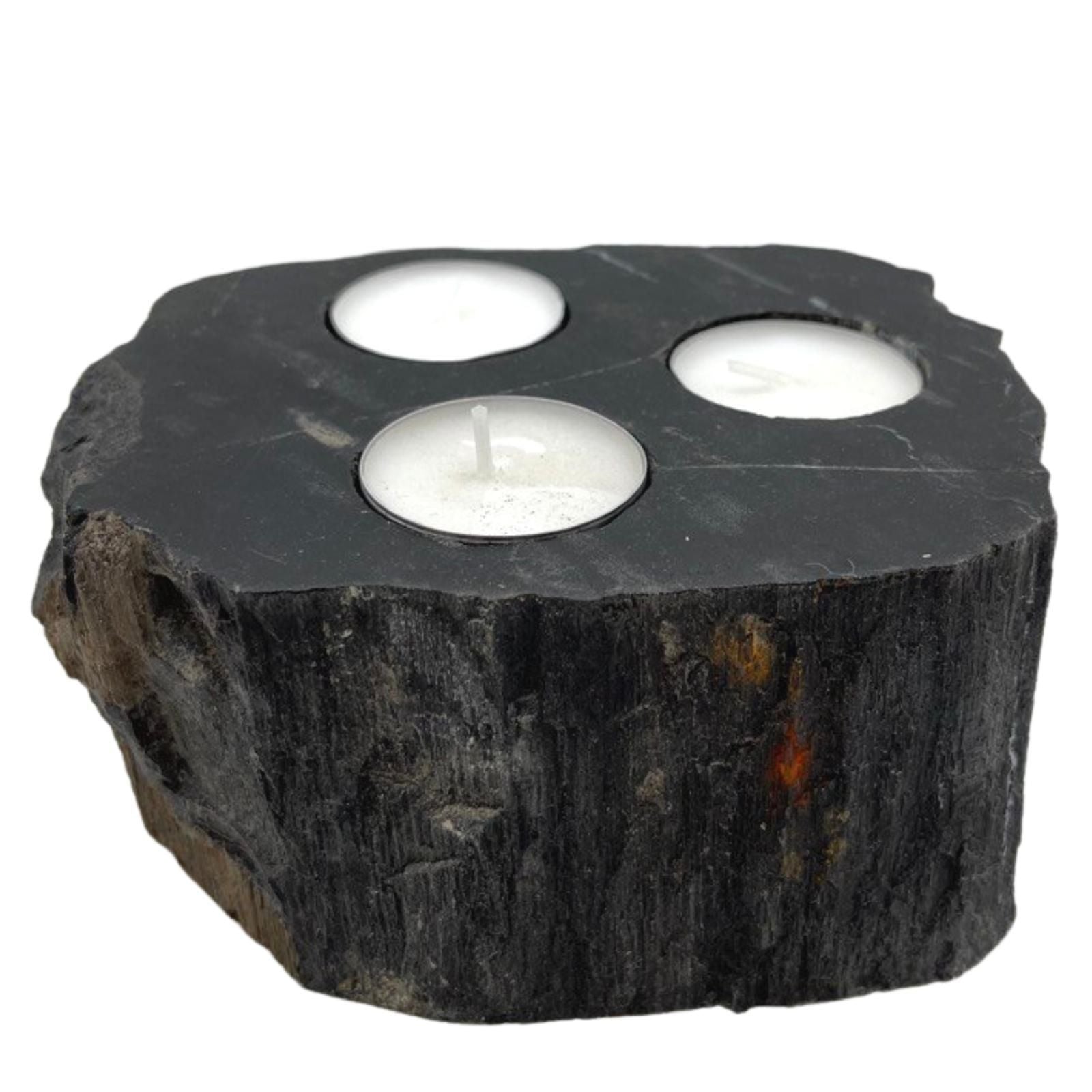 Petrified Wood Candle Holder Triple for Unique Rustic Decor